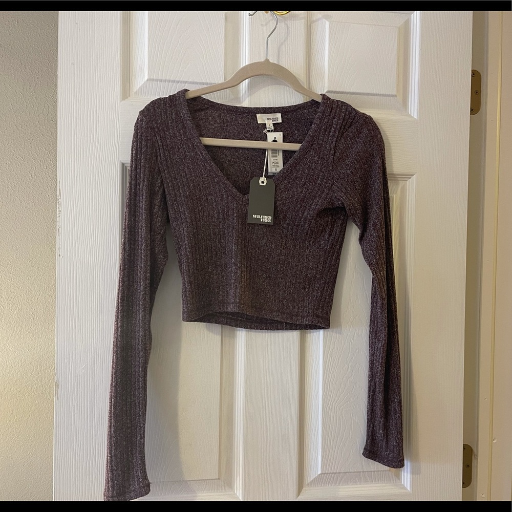 Wilfred Free Ribbed Bittar Cropped Sweater